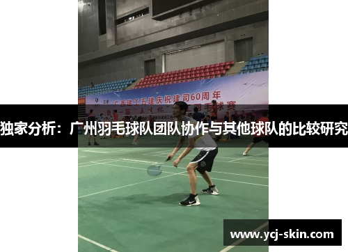 独家分析：广州羽毛球队团队协作与其他球队的比较研究